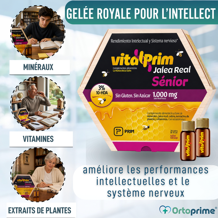 Gelée Royale pour Intellect et Système Nerveux