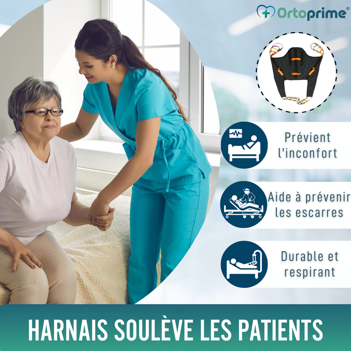 Harnais Ergonomique à Réglage Rapide pour Grue de Transfert