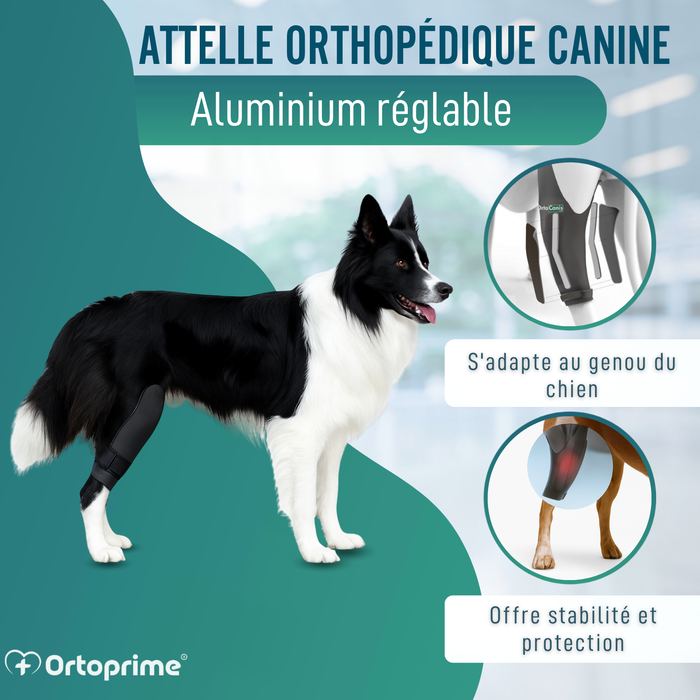 Immobilisateur de Genou pour Chiens en Néoprène | 9 Tailles