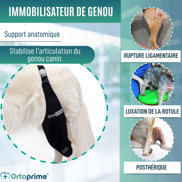Immobilisateur de Genou pour Chiens en Néoprène | 9 Tailles