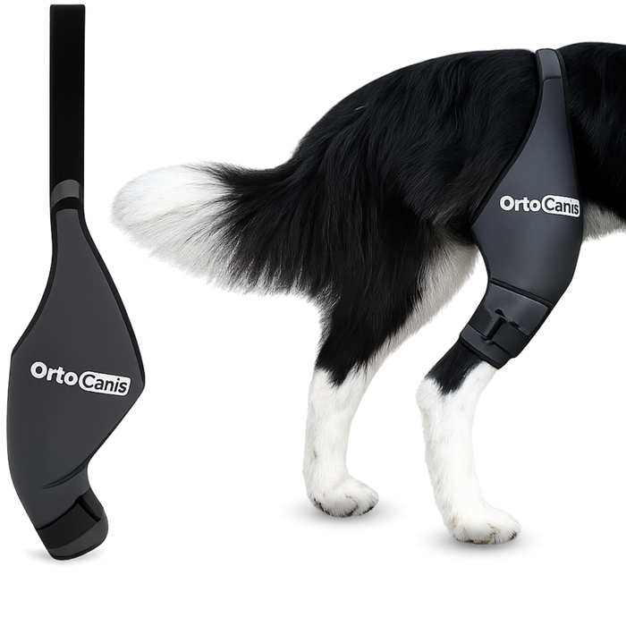 Immobilisateur de Genou pour Chiens en Néoprène | 9 Tailles