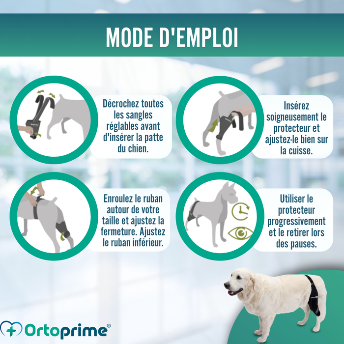Immobilisateur de Genou pour Chiens en Néoprène | 9 Tailles