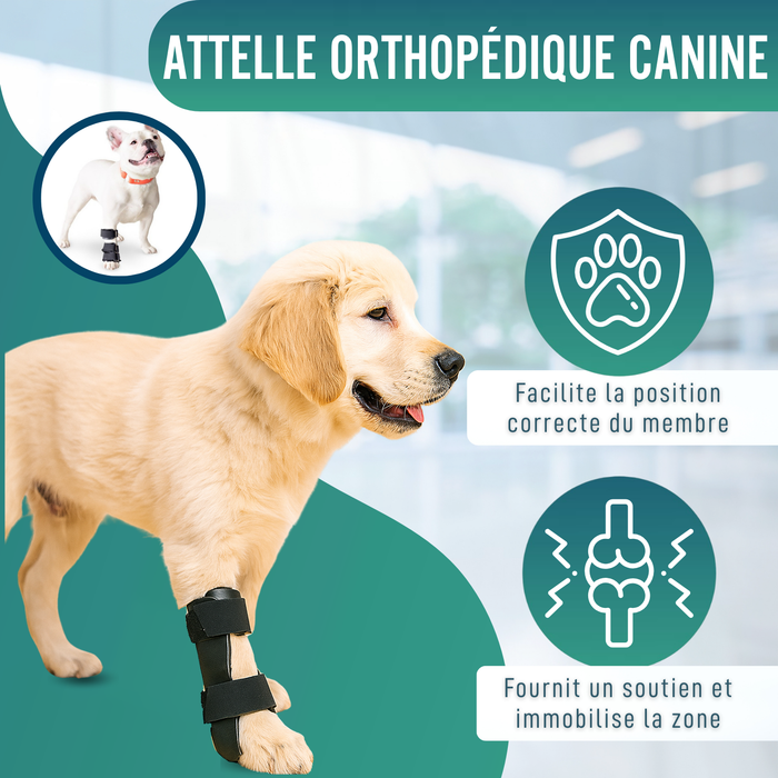 Attelle pour Carpe pour Chien | Support Canin en 5 Tailles