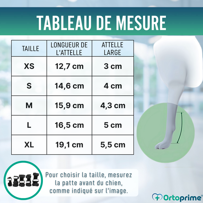 Attelle pour Carpe pour Chien | Support Canin en 5 Tailles
