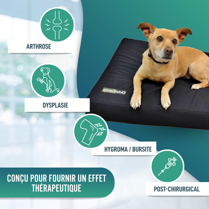 Matelas Viscoélastique Chiens Housse Imperméable | 4 Tailles