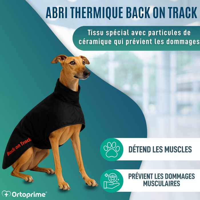 Manteau Thermique Imperméable pour Greyhound | 2 Tailles