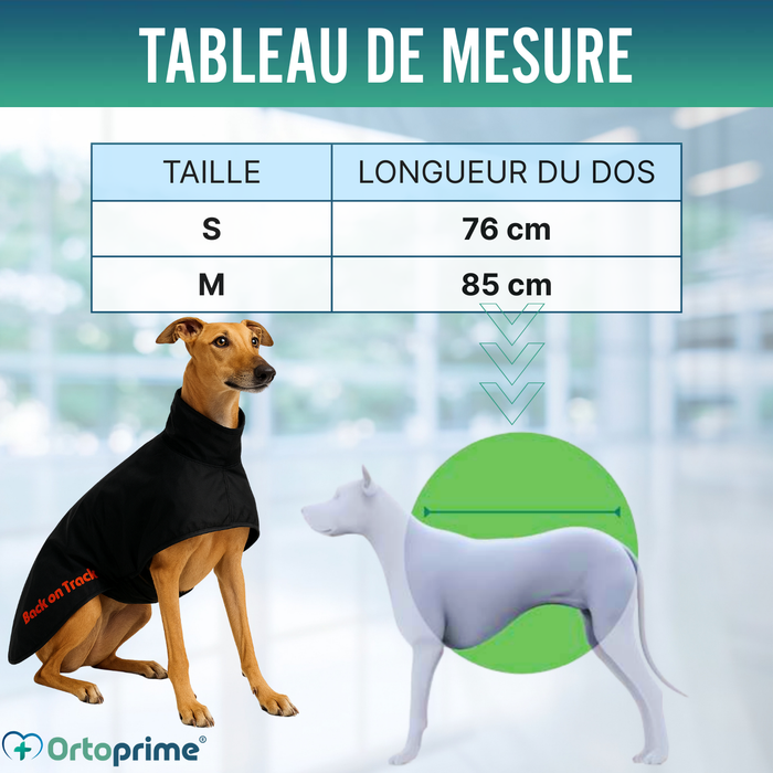 Manteau Thermique Imperméable pour Greyhound | 2 Tailles