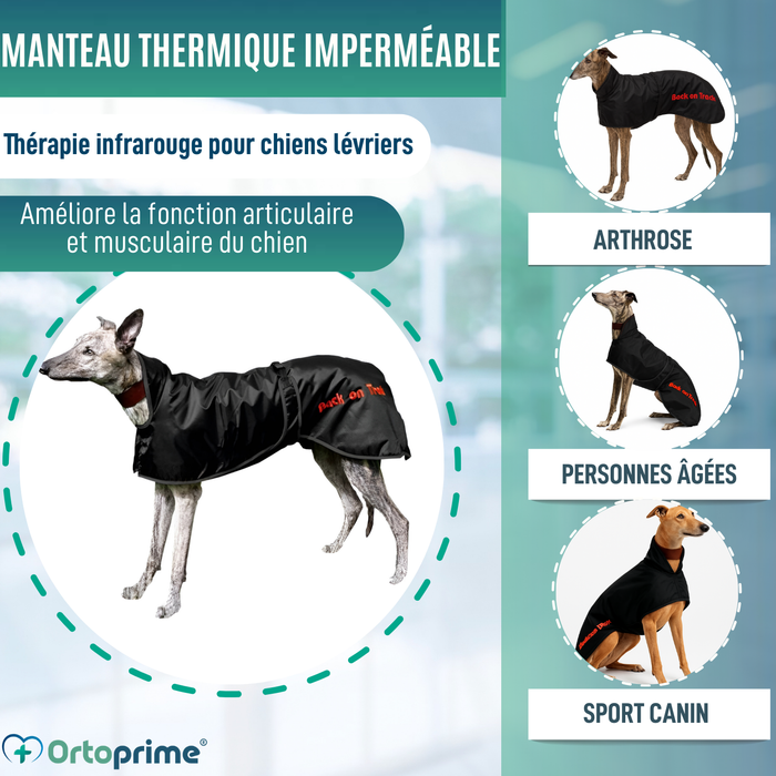 Manteau Thermique Imperméable pour Greyhound | 2 Tailles