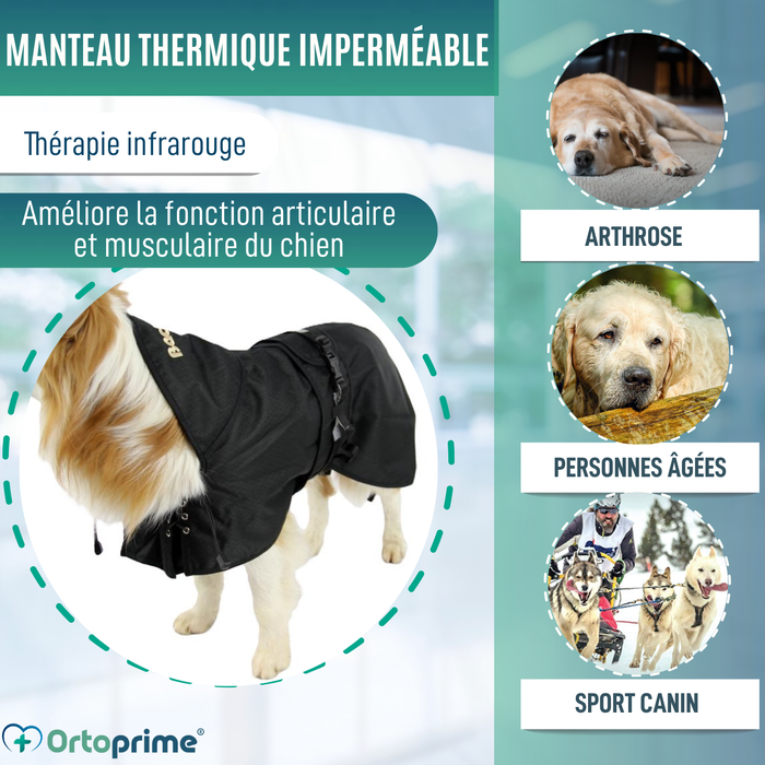 Manteau Thermique Imperméable pour Chiens | Back on Track