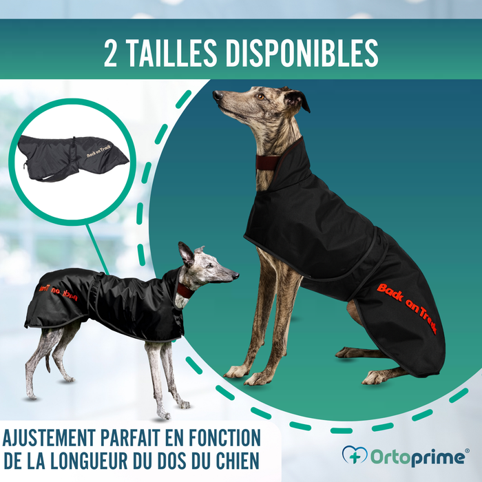 Manteau Thermique Imperméable pour Greyhound | 2 Tailles