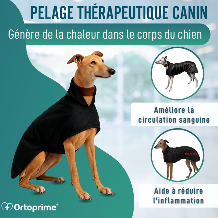 Manteau Thermique Imperméable pour Greyhound | 2 Tailles