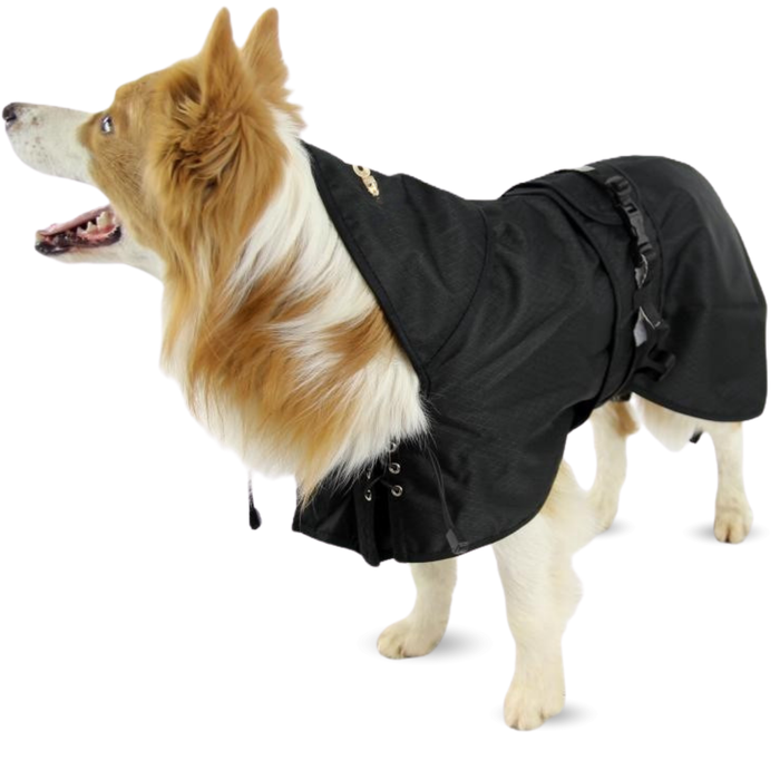Manteau Thermique Imperméable pour Chiens | Back on Track