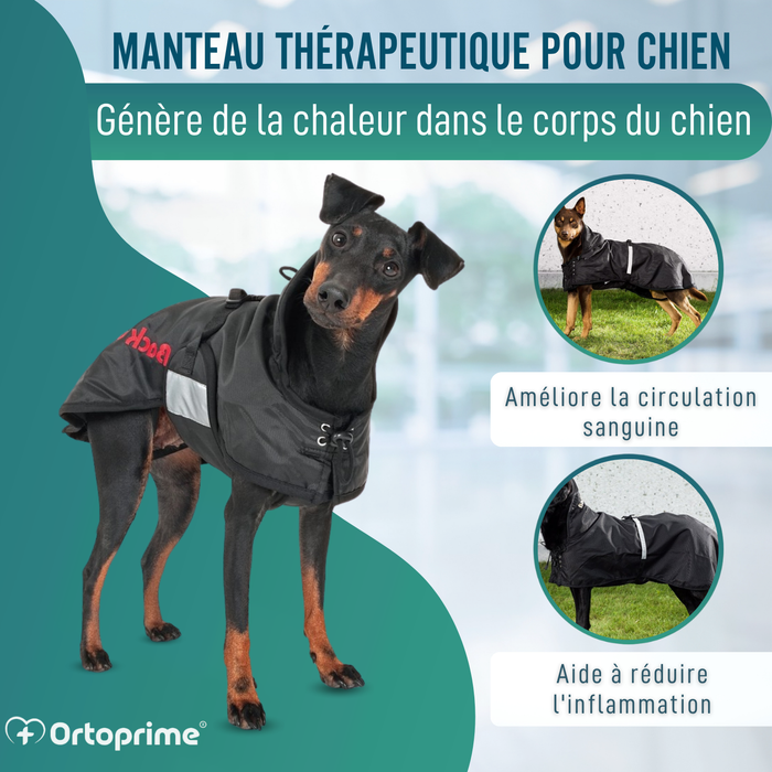 Manteau Thermique Imperméable pour Chiens | Back on Track