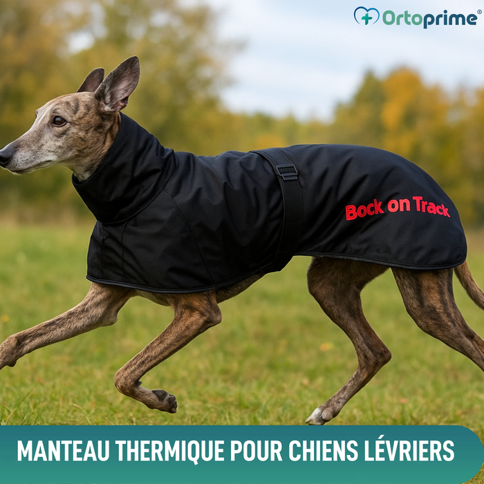 Manteau Thermique Imperméable pour Greyhound | 2 Tailles