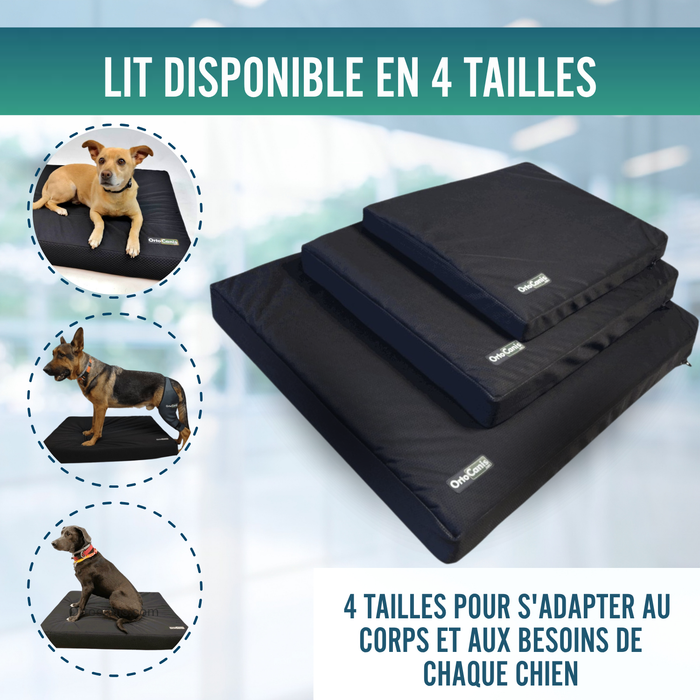 Matelas Viscoélastique Chiens Housse Imperméable | 4 Tailles