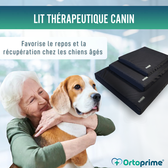Matelas Viscoélastique Chiens Housse Imperméable | 4 Tailles