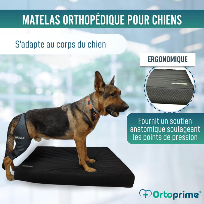 Matelas Viscoélastique Chiens Housse Imperméable | 4 Tailles