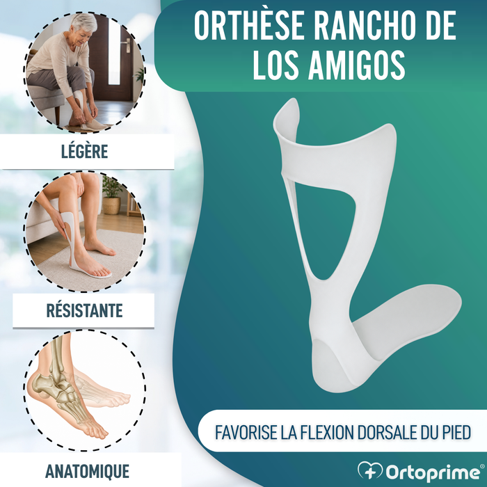 Modèle complet de la Plantilla du Ranch des Amis | Termoformable