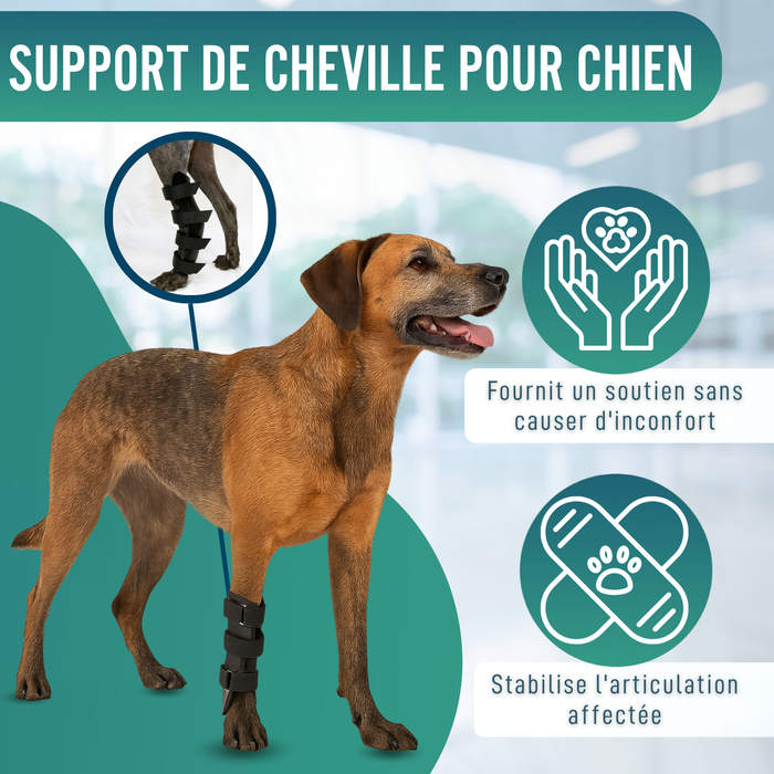 Orthèse pour Chiens avec Lésions de Tarse et Cheville