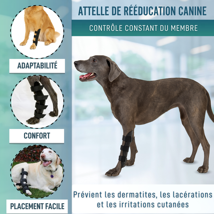 Orthèse pour Chiens avec Lésions de Tarse et Cheville