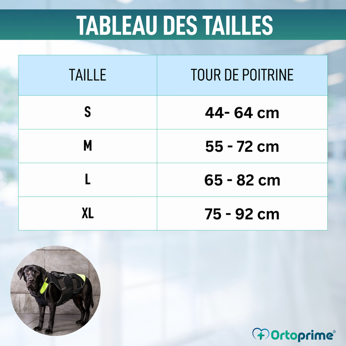 Harnais Canin Multifonction 3 en 1 en Néoprène | 4 Tailles