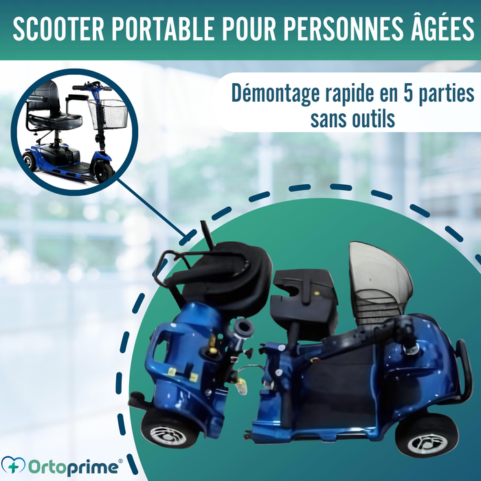 Scooter Électrique avec Système Stand Up | 3 Roues