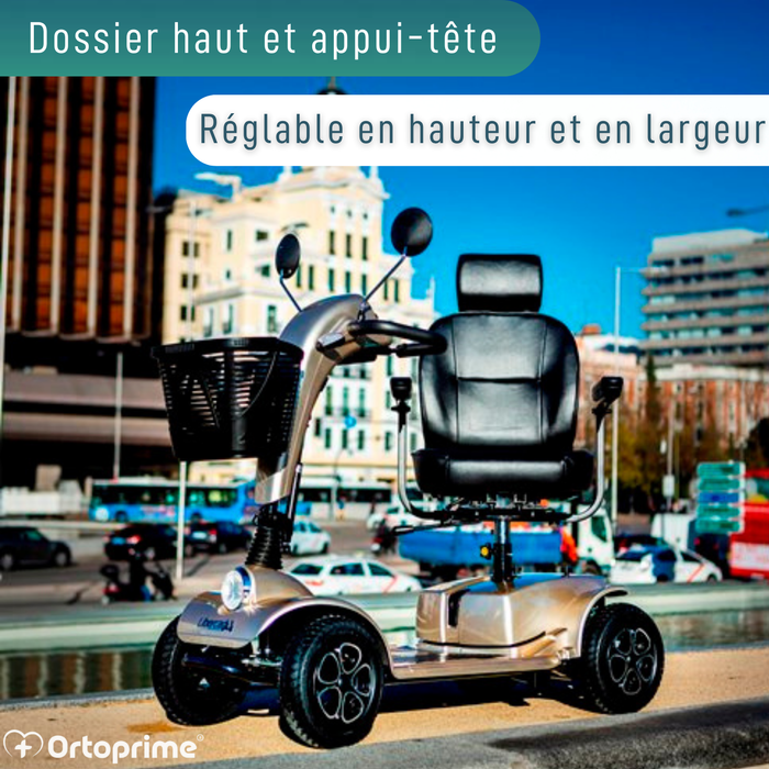 Scooter Électrique Haut de Gamme pour Adultes | 4 Roues