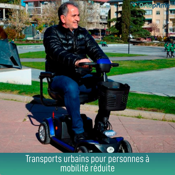 Scooter Électrique Compact et Pliable | 4 Roues