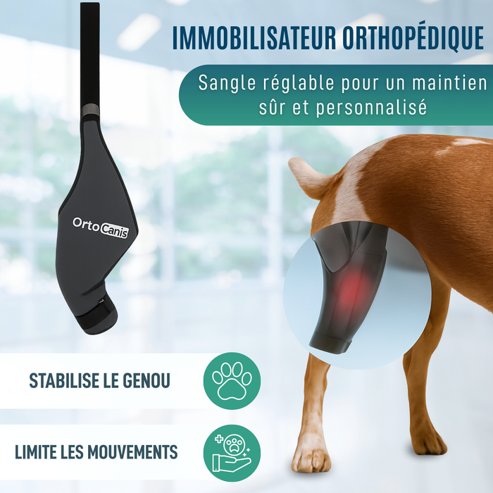 Immobilisateur de Genou pour Chiens en Néoprène | 9 Tailles