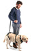 arnes-para-perro-grande-ortoprime