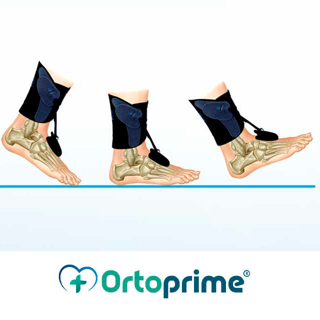 Bande Transpirable pour pied équin